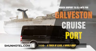 Best Airports for Galveston Cruise Port: Your Ultimate Travel Guide
