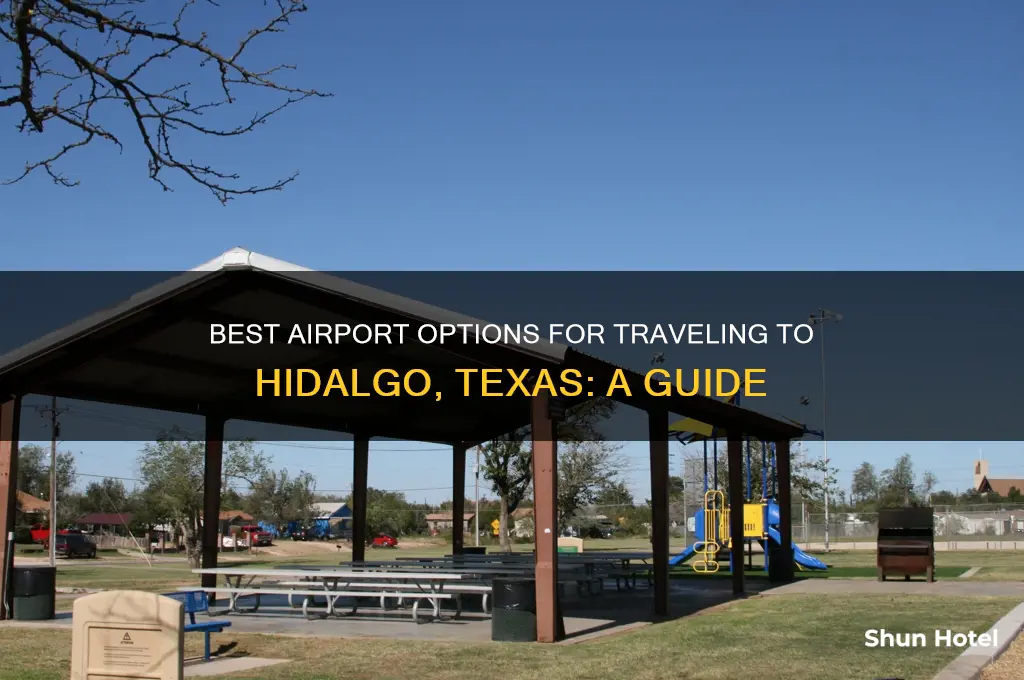 which airport to fly into for hildago tx