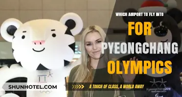 Best Airports for Pyeongchang Olympics: Your Ultimate Travel Guide