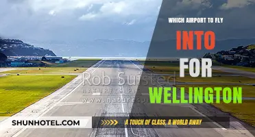 Best Airport Options for Traveling to Wellington, New Zealand