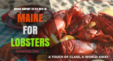 Best Maine Airports for Lobster Lovers: Your Ultimate Seafood Getaway Guide