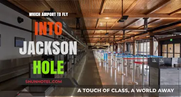 Best Airport Options for Flying into Jackson Hole: A Travel Guide