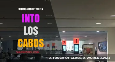 Best Airports for Flying into Los Cabos: A Traveler's Guide