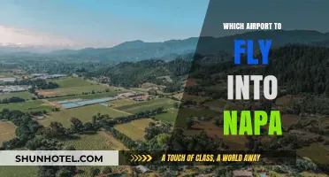 Best Napa Airport Guide: Top Flight Options for Wine Country Travel