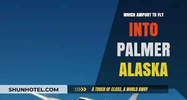 Best Airports for Flying into Palmer, Alaska: A Comprehensive Guide
