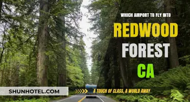 Best Airports for Visiting Redwood Forest, California: A Travel Guide