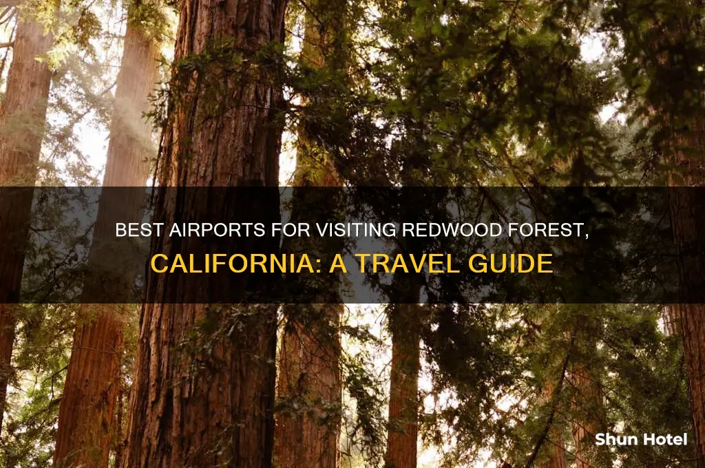 which airport to fly into redwood forest ca