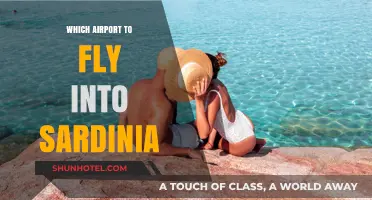 Best Sardinia Airport Guide: Which Hub to Fly Into for Your Trip