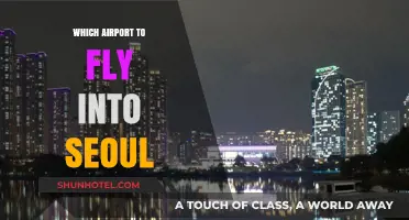 Best Seoul Airport Guide: Incheon vs. Gimpo for Your Trip