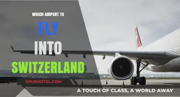 Best Swiss Airports: Your Ultimate Guide to Flying into Switzerland