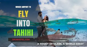 Best Airports for Flying into Tahiti: Your Ultimate Travel Guide