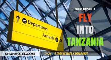 Best Airports for Tanzania Travel: Your Ultimate Flight Guide