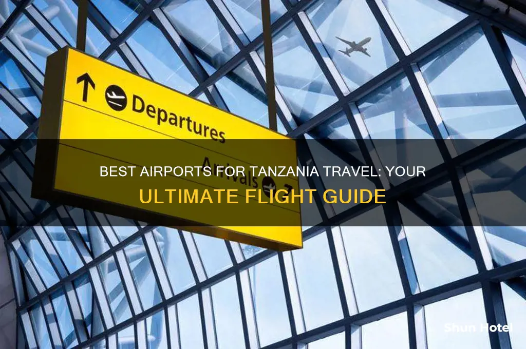 which airport to fly into tanzania