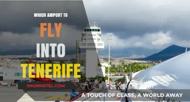 Best Tenerife Airport Guide: North or South for Your Trip?