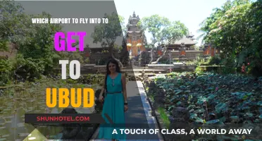 Best Airport Options for Traveling to Ubud, Bali: A Guide