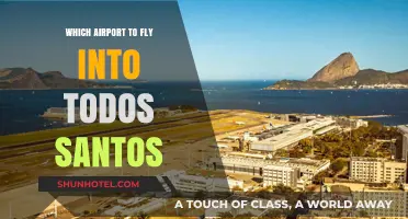 Best Airport Options for Flying into Todos Santos, Mexico