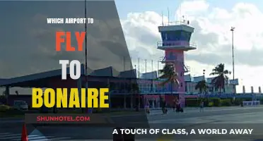 Best Airport Options for Flying to Bonaire: A Comprehensive Guide
