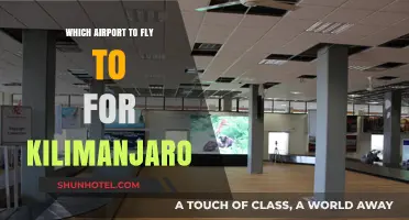 Best Airport Options for Climbing Kilimanjaro: Your Ultimate Travel Guide