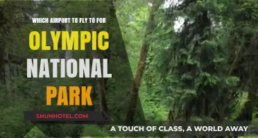 Best Airports for Olympic National Park: Your Ultimate Travel Guide