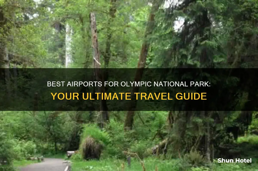 which airport to fly to for olympic national park
