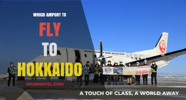Best Airports for Hokkaido: Your Ultimate Travel Guide to Japan's North