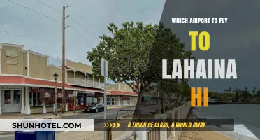 Best Airport Options for Flying to Lahaina, Hawaii: A Travel Guide