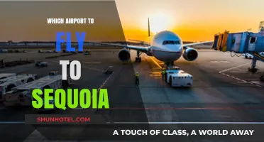 Best Airports for Visiting Sequoia National Park: A Traveler's Guide