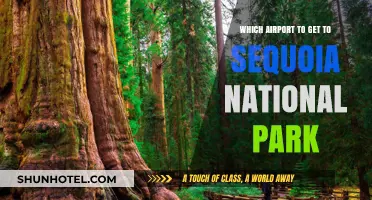 Best Airports for Accessing Sequoia National Park: Your Travel Guide