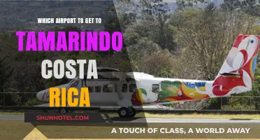 Best Airport Options for Traveling to Tamarindo, Costa Rica