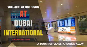 Navigating Dubai International: Terminal Assignments for Major Airlines