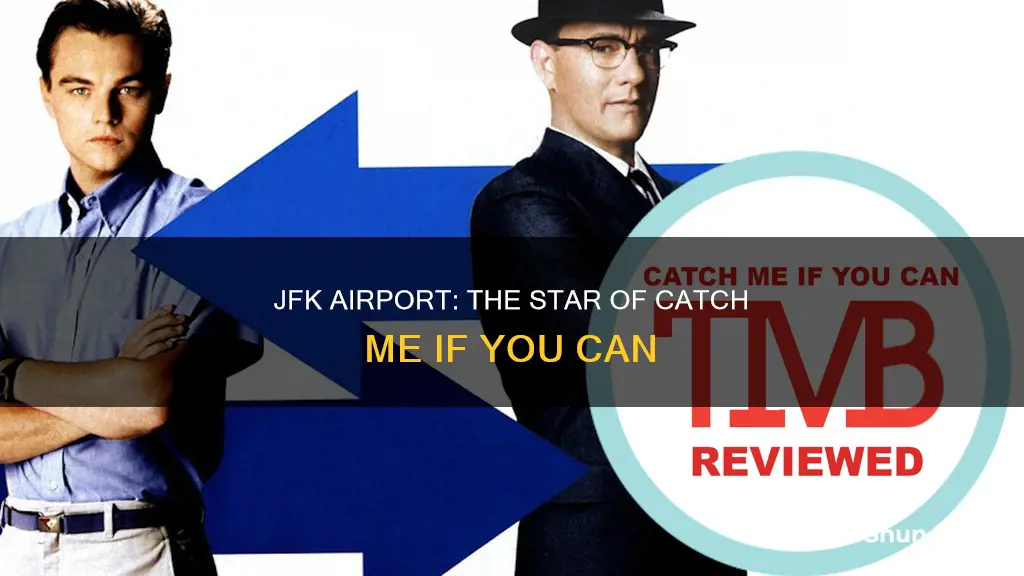 which airport was used in catch me if you can