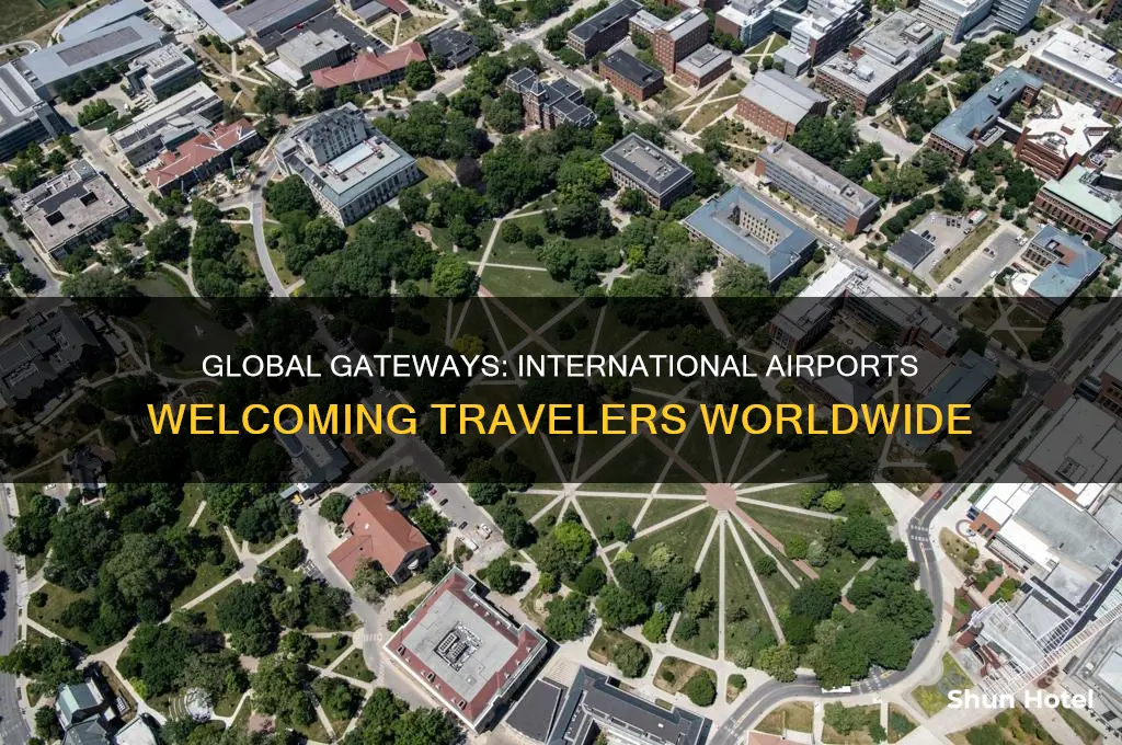 which airports admit international