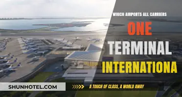 One Terminal International: Airports Streamlining Global Travel for All Carriers