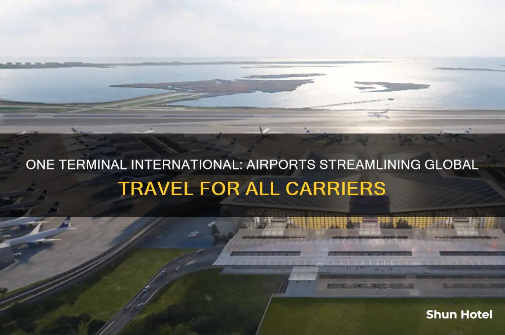 which airports all carriers one terminal international