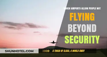 Beyond Security: Airports Welcoming Non-Flyers to Terminals