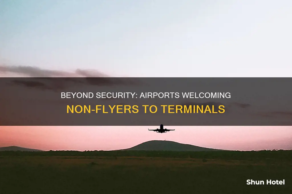 which airports allow people not flying beyond security