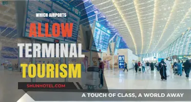 Exploring the Globe: Airports Welcoming Terminal Tourism