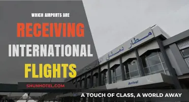 Global Travel Hubs: International Flights Resuming at These Airports