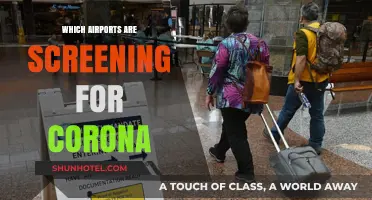 Airports Screening for Corona: Where and How?