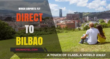 Direct Flights to Bilbao: Top Airports with Nonstop Routes