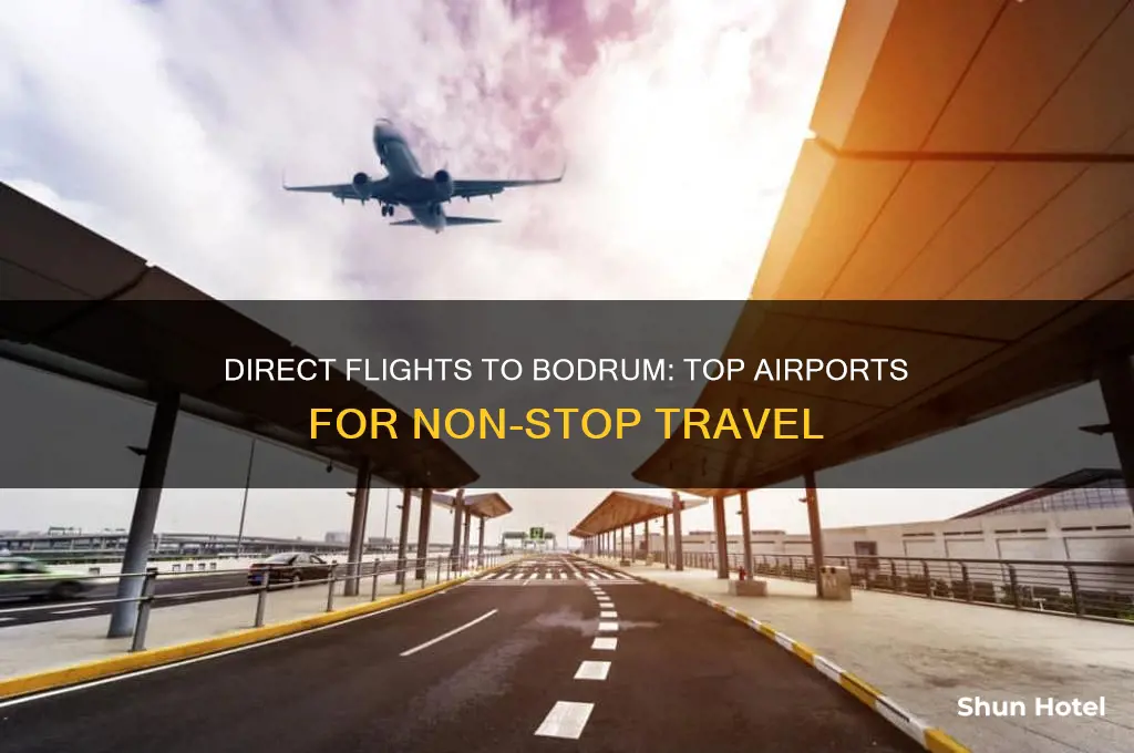 which airports fly direct to bodrum