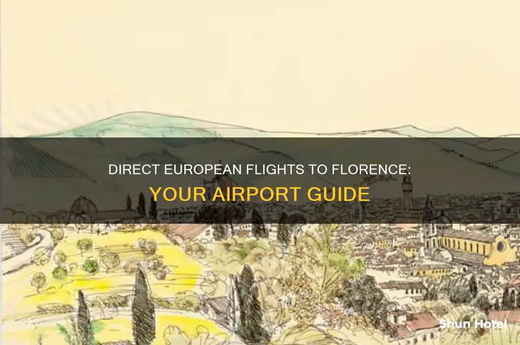 which airports fly direct to florence italy from eurpoe