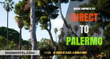 Direct Flights to Palermo: Your Comprehensive Airport Guide