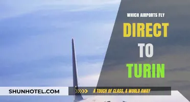 Direct Flights to Turin: Your Comprehensive Airport Guide