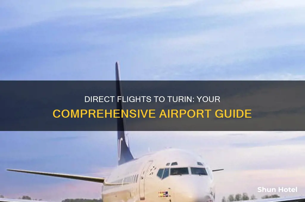 which airports fly direct to turin