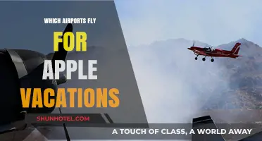 Discover Apple Vacations' Airport Destinations for Your Next Getaway