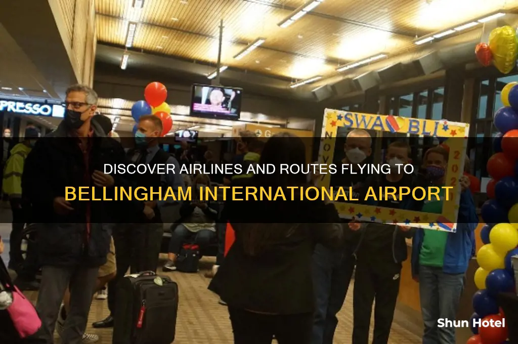 which airports fly to bellingham
