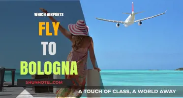 Discover Direct Flights to Bologna: Top Global Airports Guide