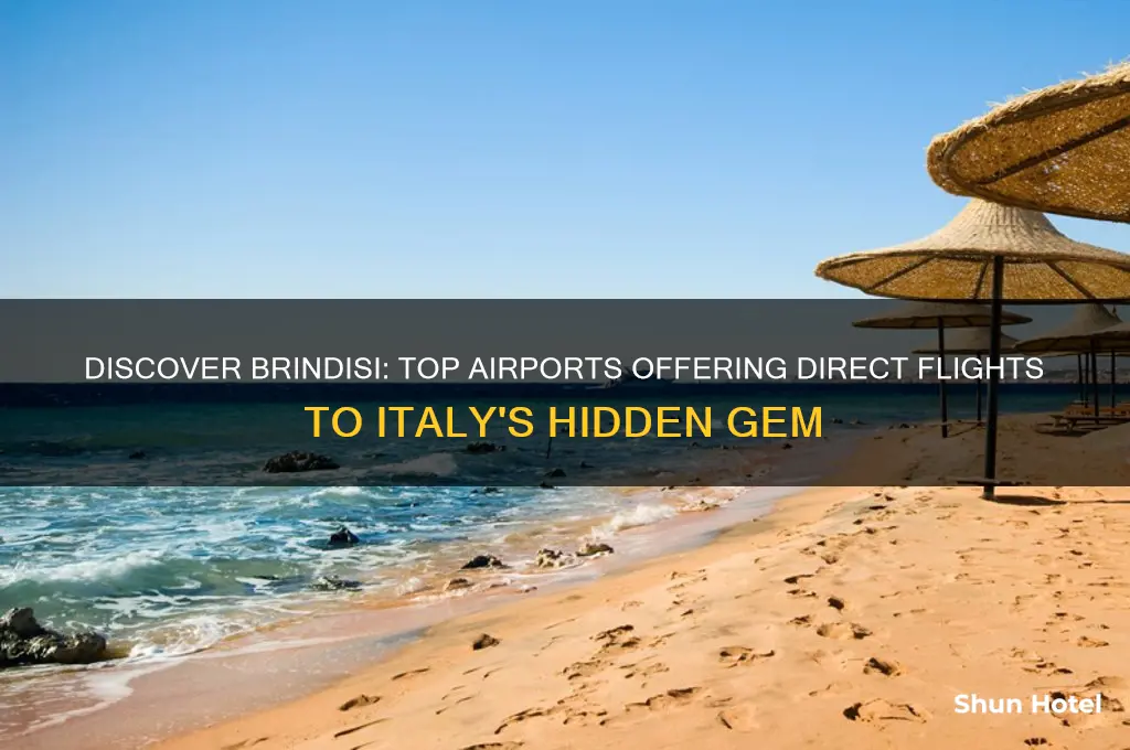 which airports fly to brindisi