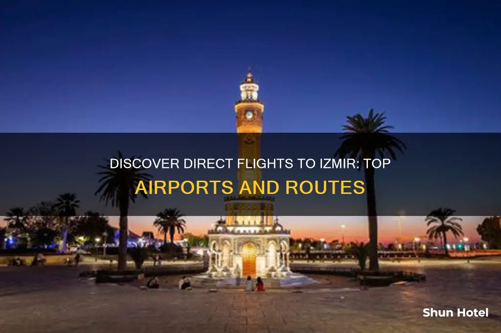 which airports fly to izmir